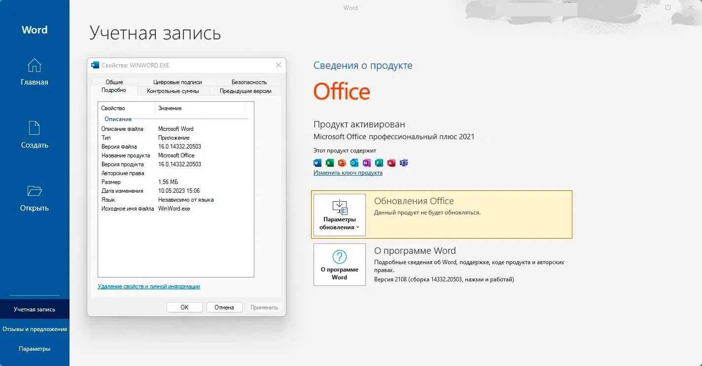 Microsoft Office 2021 Professional Plus  ( С привязкой к аккаунту )